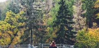 Courage: The Strategic Bridge to Your Next Level of Leadership