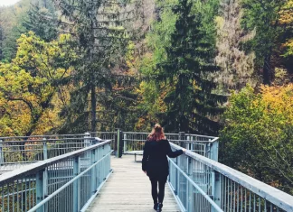 Courage: The Strategic Bridge to Your Next Level of Leadership Courage: The Strategic Bridge to Your Next Level of Leadership