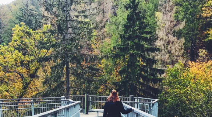 Courage: The Strategic Bridge to Your Next Level of Leadership