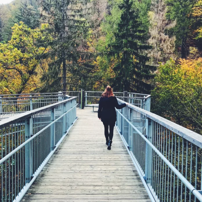 Courage: The Strategic Bridge to Your Next Level of Leadership Courage: The Strategic Bridge to Your Next Level of Leadership